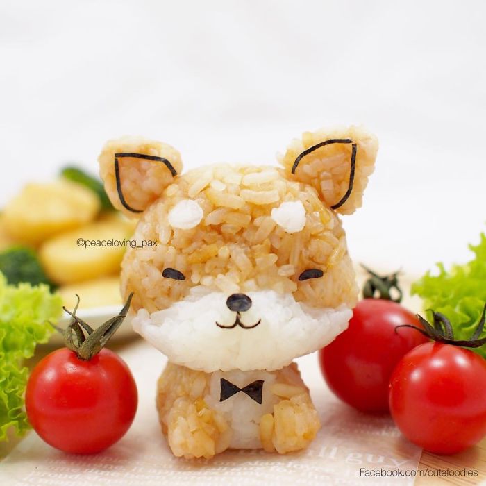 im-a-doctor-who-makes-adorable-rice-balls-during-her-free-time-58__700